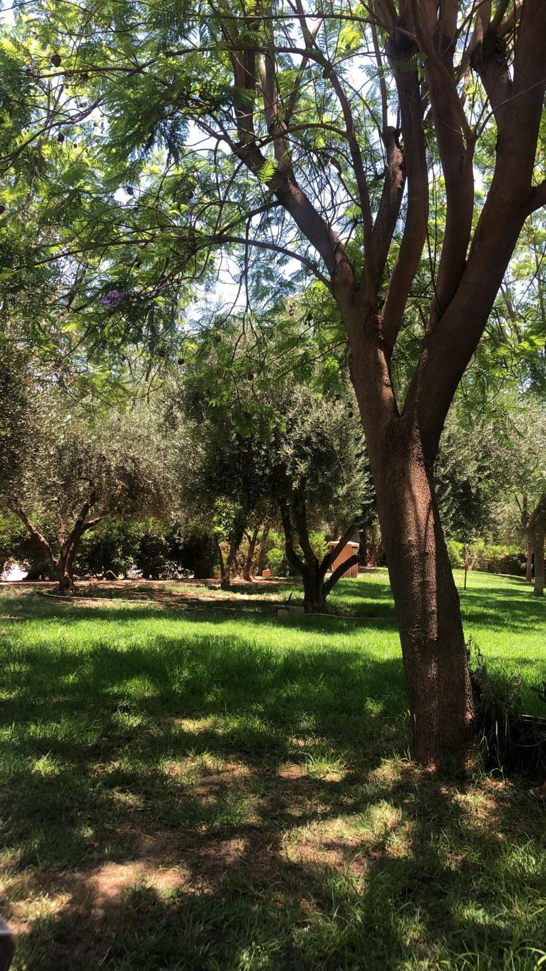 Palmeraie Village 2 - Cosi Appartement En Rez De Jardin Marrakesh Bagian luar foto